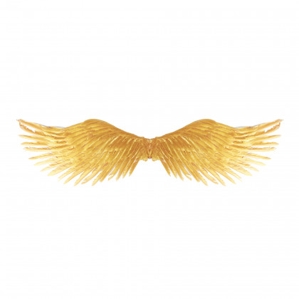 Andělská křídla zlatá